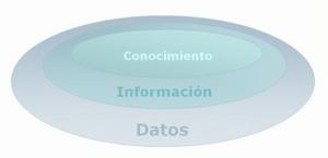 data_info_cogno1